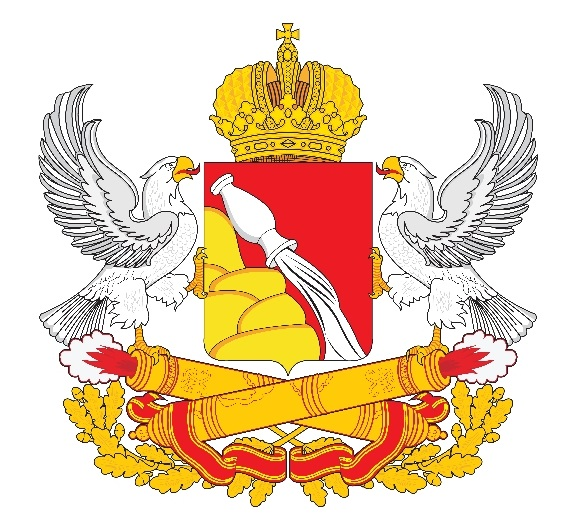 БУЗ ВО "ВССМП"