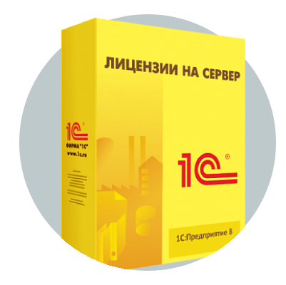 Лицензии на сервер